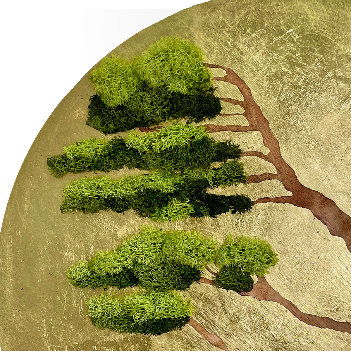 Moss decorations round "Bonsai", wall art made of colored moss with a gold-tone background